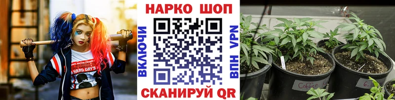 Наркошоп купить ГАШ  APVP  Cocaine  АМФ  Марихуана  Меф мяу мяу  Сунжа