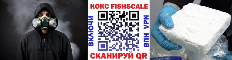 Купить  Сунжа  Cocaine FishScale 