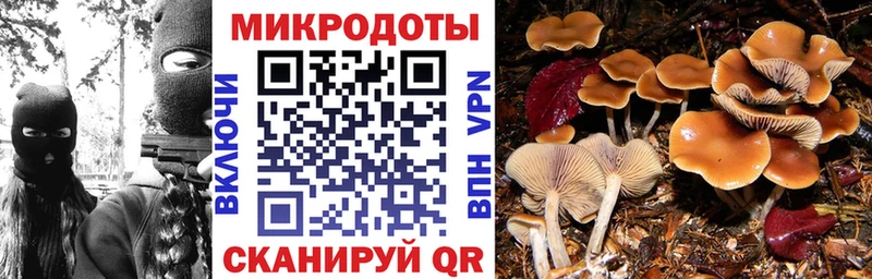 Галлюциногенные грибы GOLDEN TEACHER  Купить закладки  Сунжа 